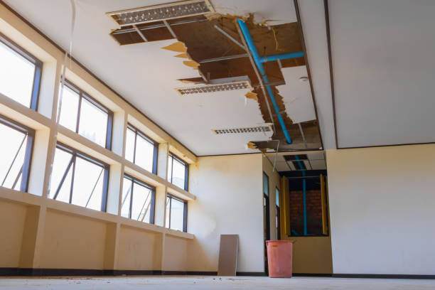  Tickfaw, LA Water damage restoration Pros