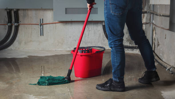 Water damage restoration mold remediation in Tickfaw, LA